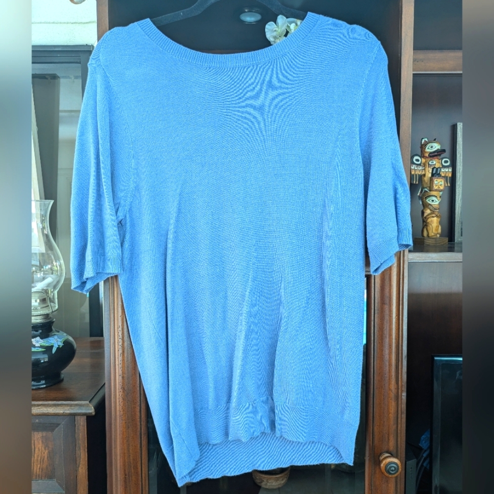 NWT Lt Blue Knit Top, Pearl Details sz L by Premise